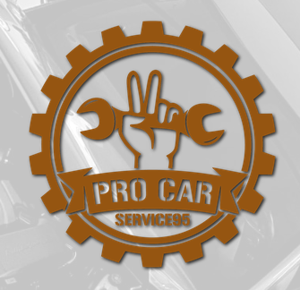 ProCar GmbH (Steiner Martin)